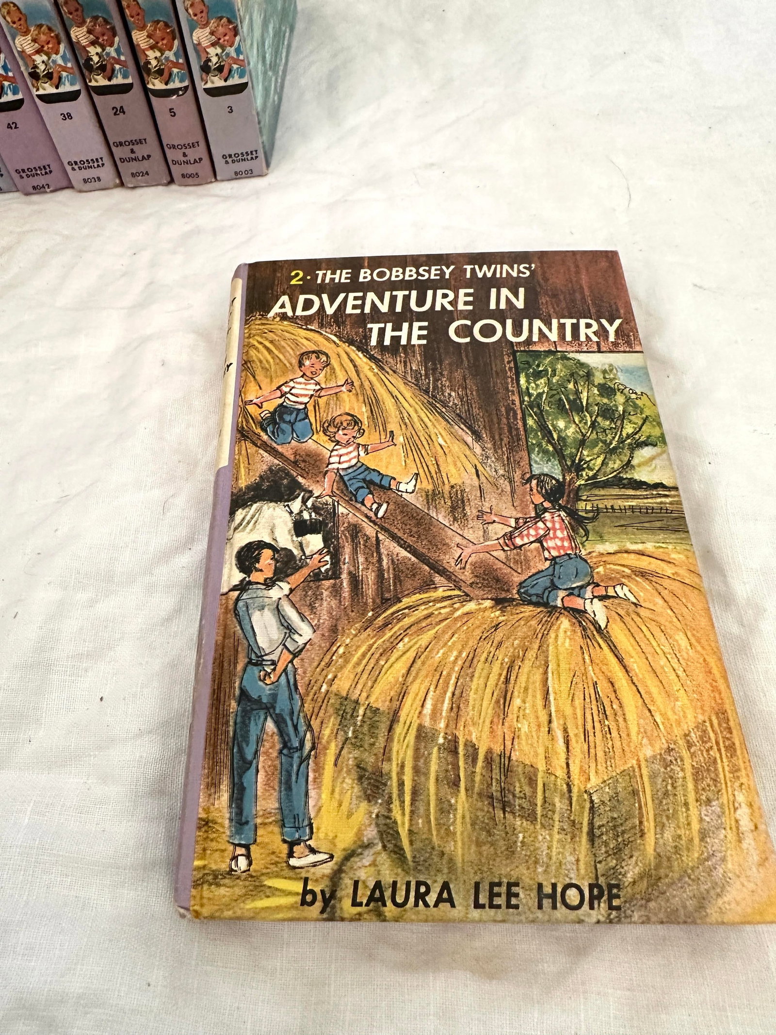 Vintage Set of 9 "The Bobbsey Twins" Books - 4