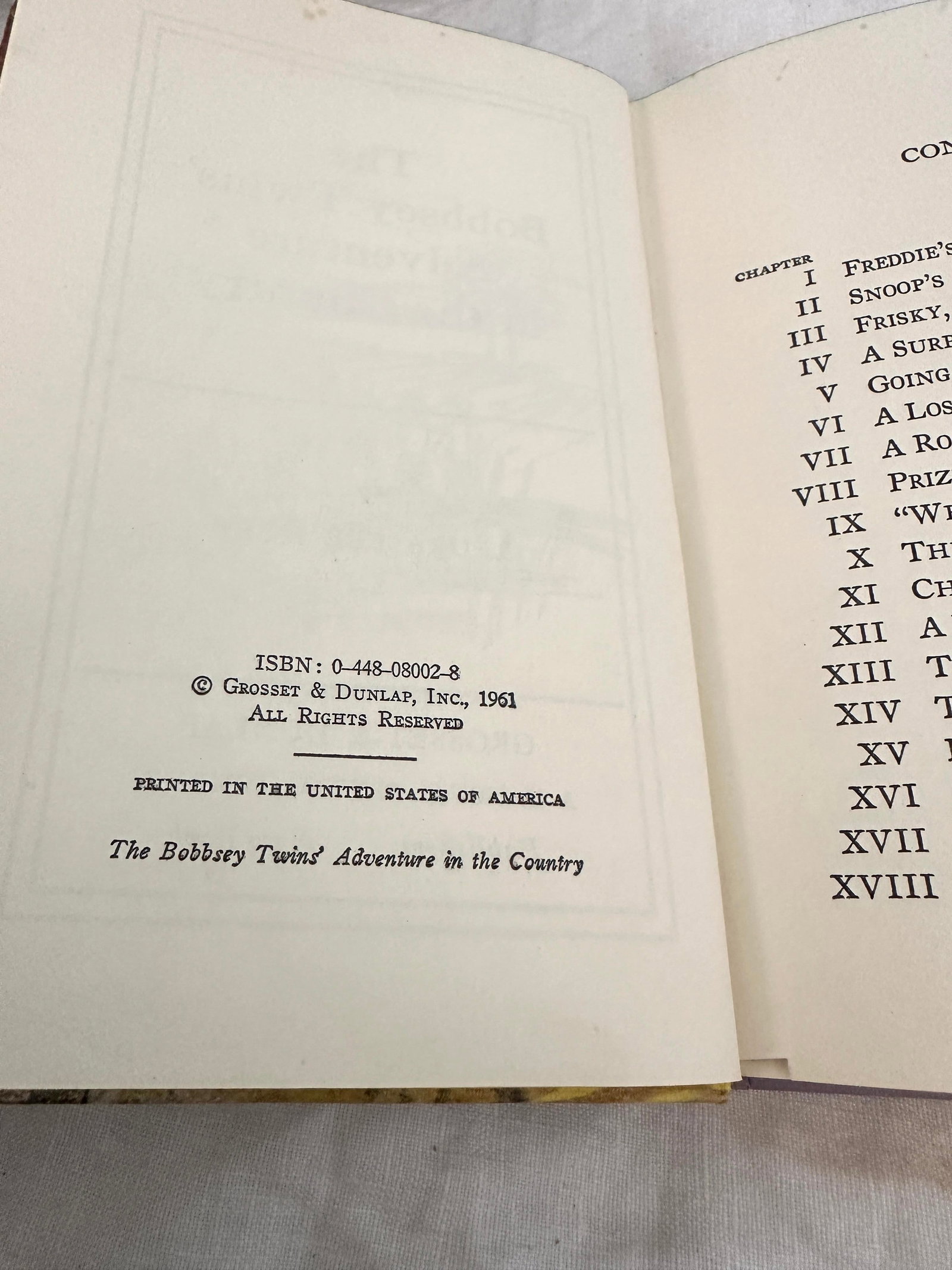 Vintage Set of 9 "The Bobbsey Twins" Books - 6