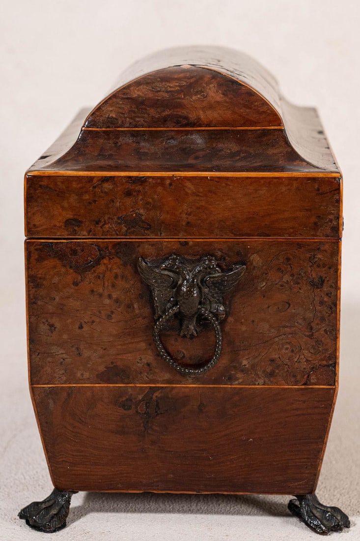 Regency Burl Yew Tea Caddy (C. 1820) - 3