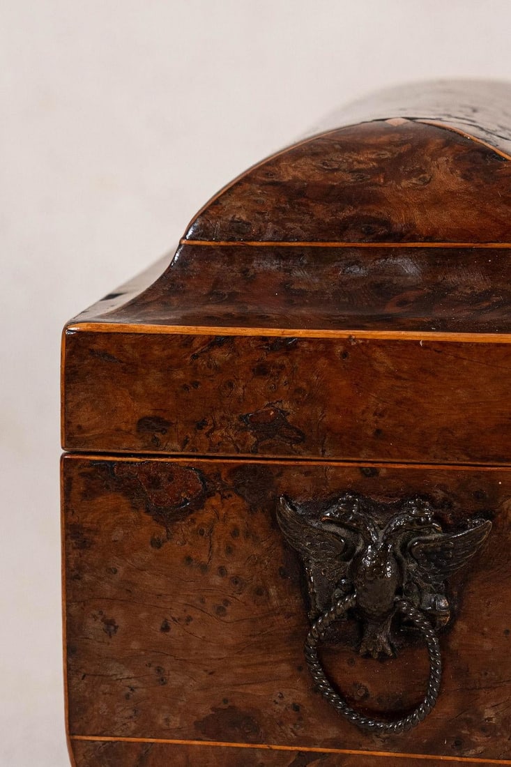 Regency Burl Yew Tea Caddy (C. 1820) - 4