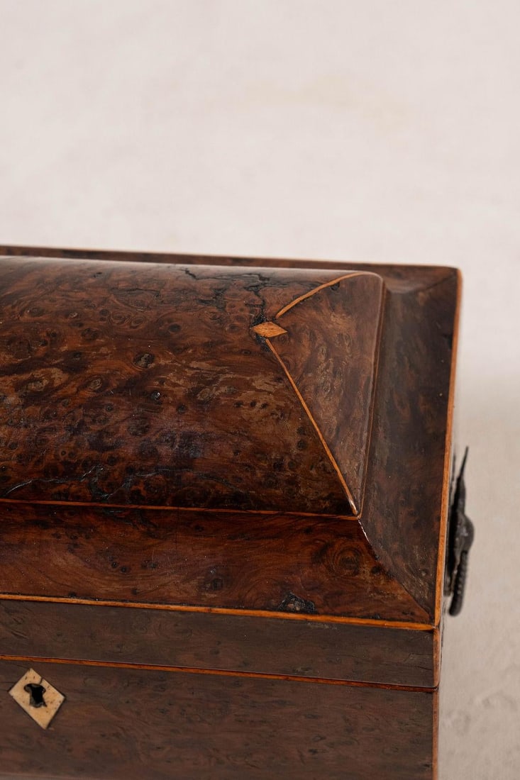 Regency Burl Yew Tea Caddy (C. 1820) - 5
