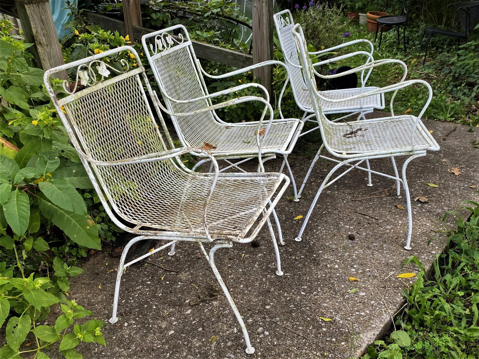 Woodard Maple Leaf Wrought Iron Arm Chairs Set of 4 - 2