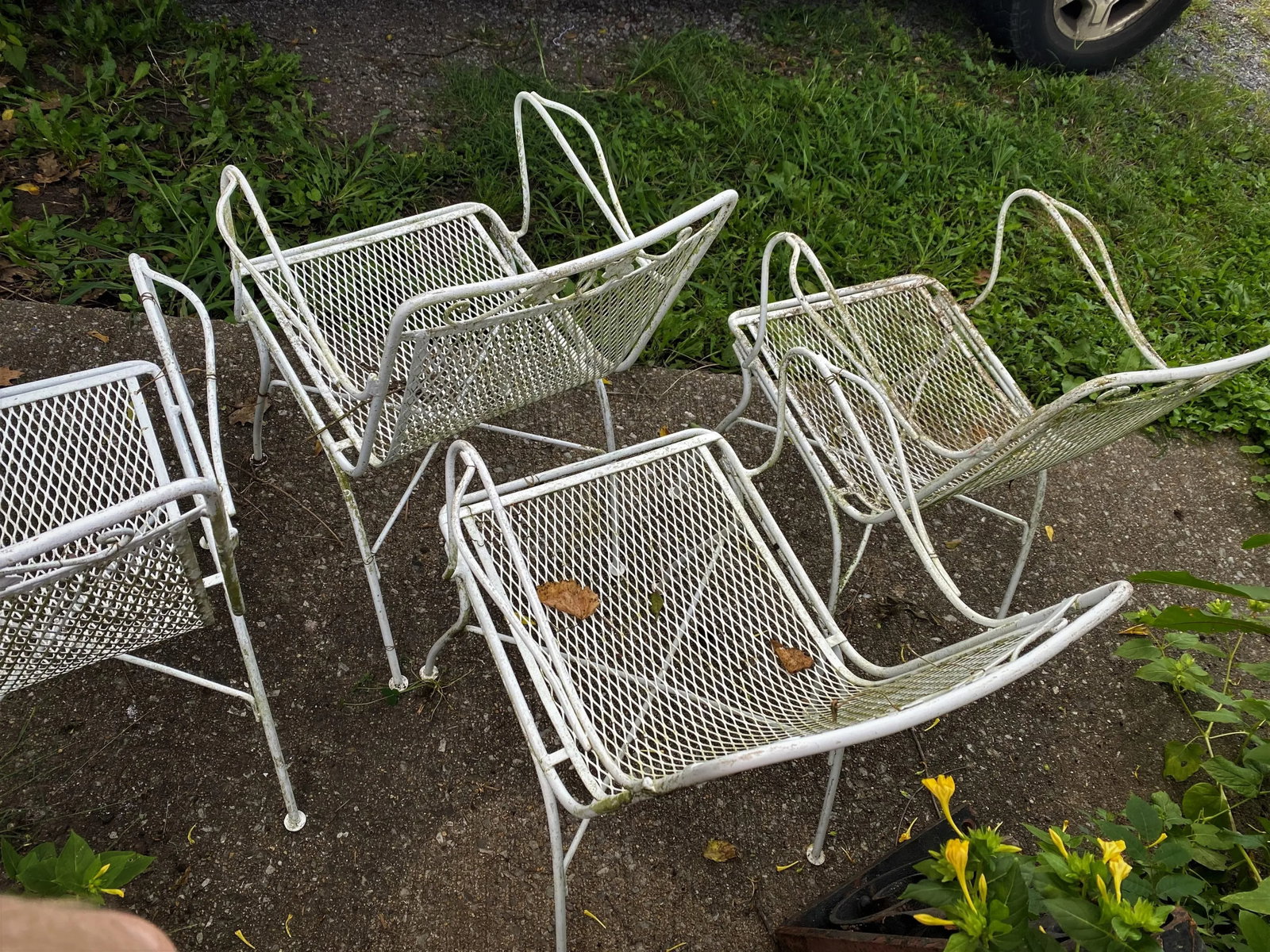 Woodard Maple Leaf Wrought Iron Arm Chairs Set of 4 - 3