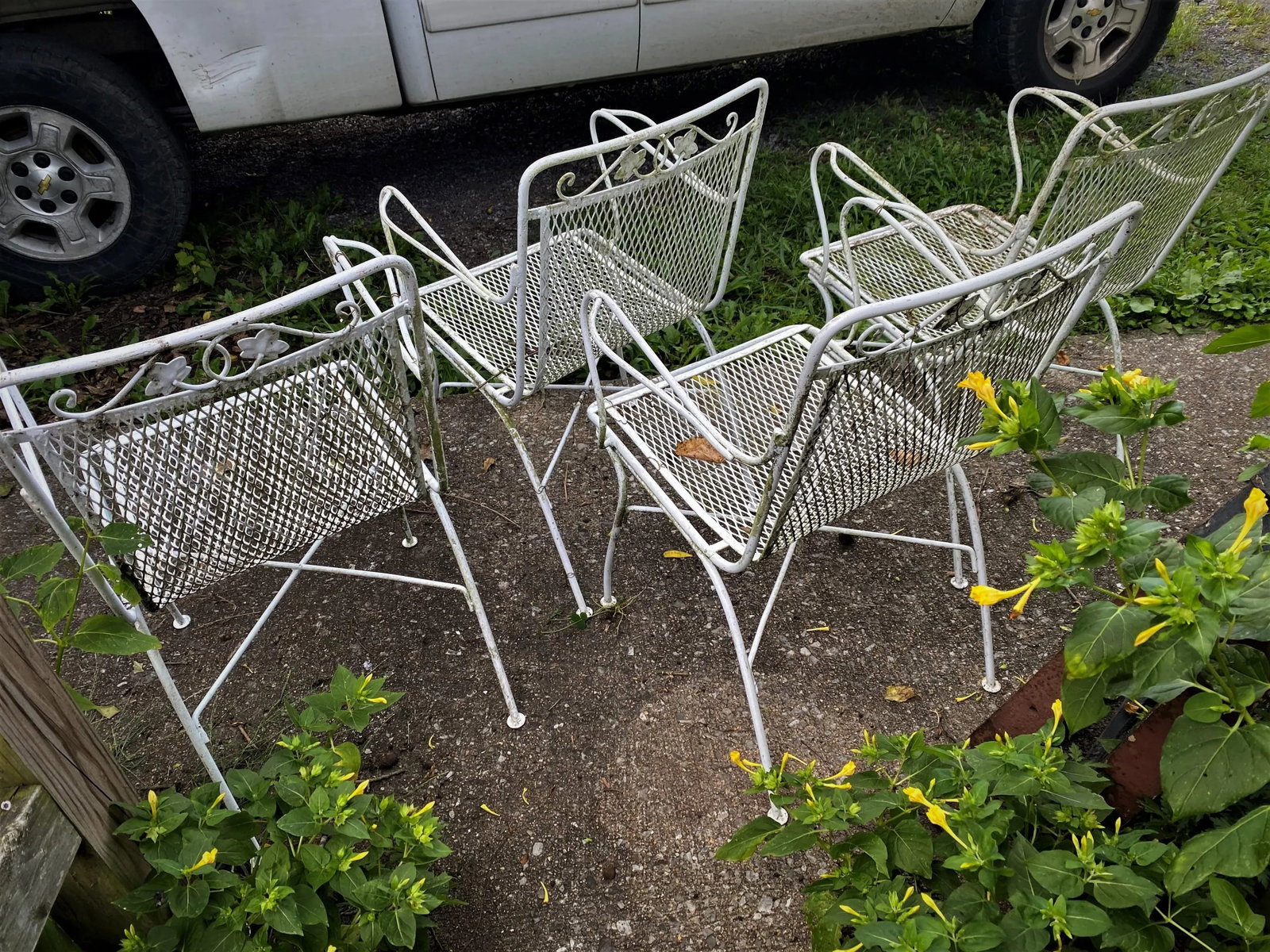 Woodard Maple Leaf Wrought Iron Arm Chairs Set of 4 - 4