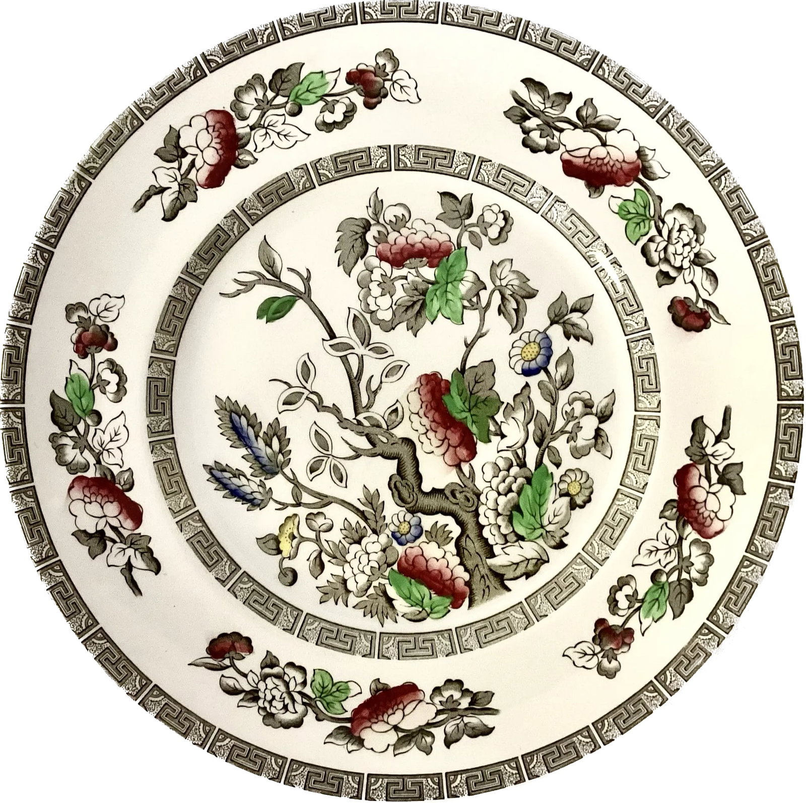 Set of Ridgeway of Staffordshire England "Indian Tree" Plates - 5