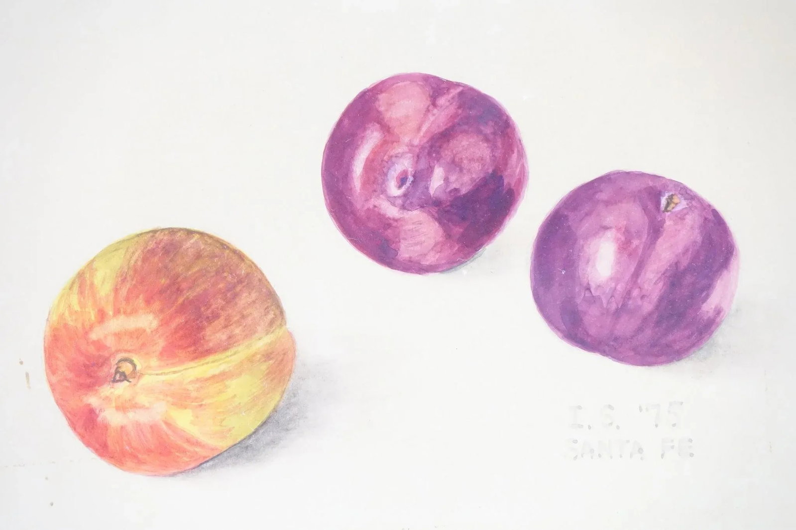 Watercolor on Paper Signed at the Bottom 1975 - 2