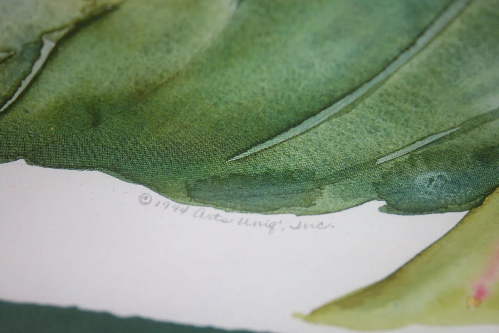 Golden Bloom - Late 20th Century Watercolor Print on Paper Signed, Framed - 4