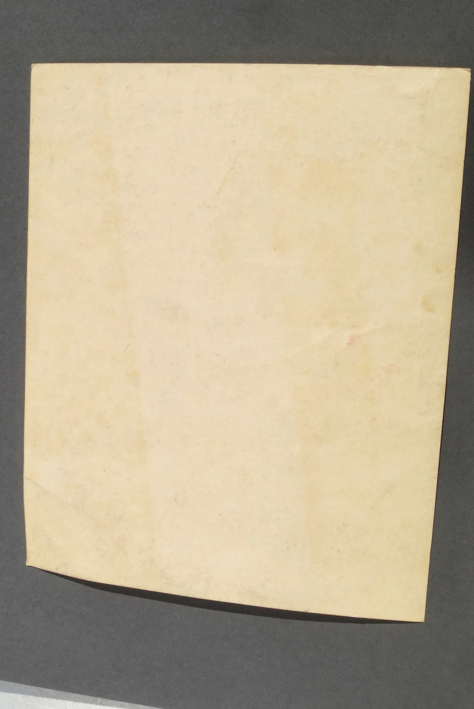 1908 Comemorative Drawing Signed Florence Humphreys - 6