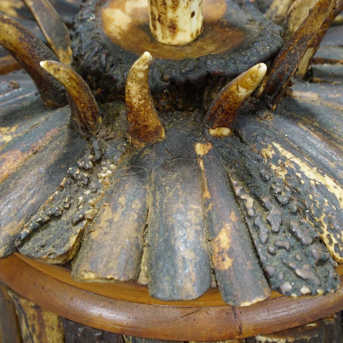 Cabin Decor Antler Humidor Ca. 1890/1900 - 7