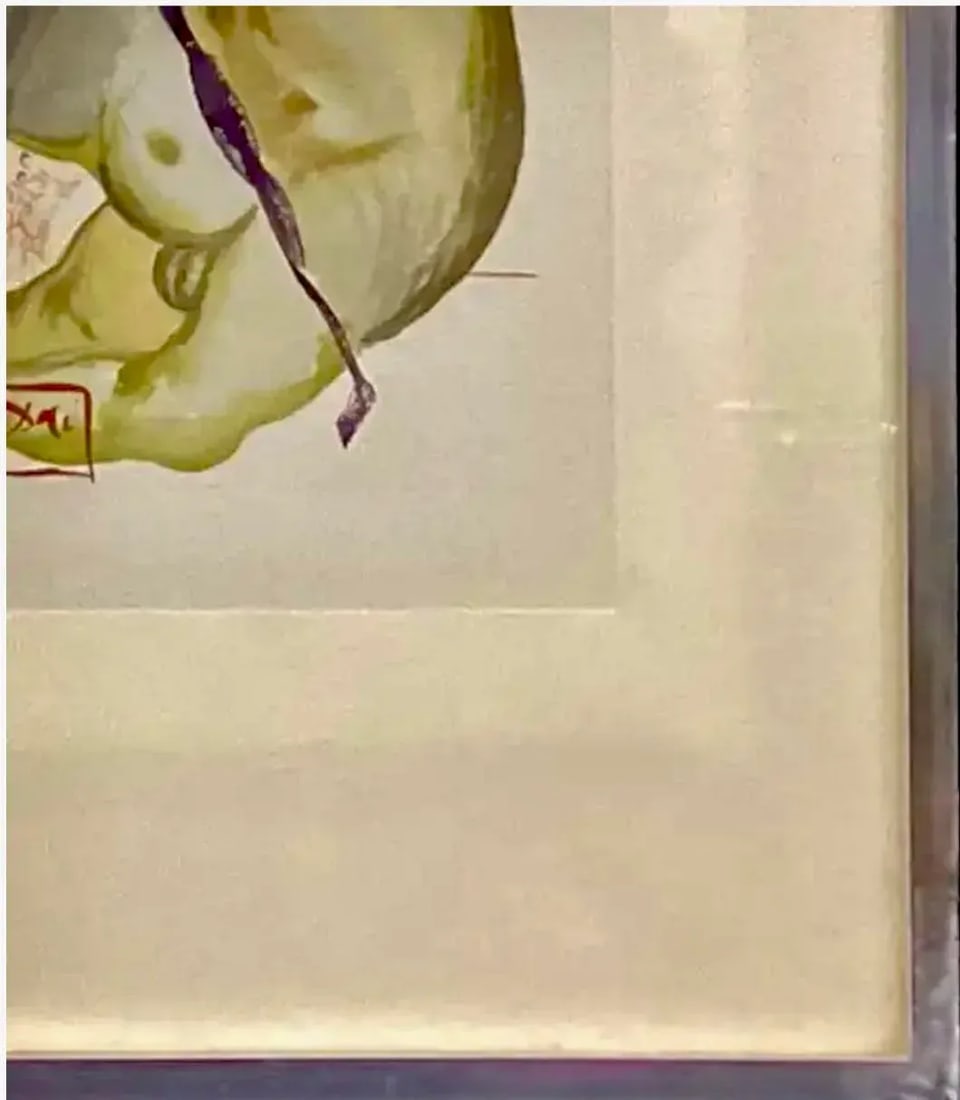 Signed Salvador Dali Surrealist Wood Cut Print - 6