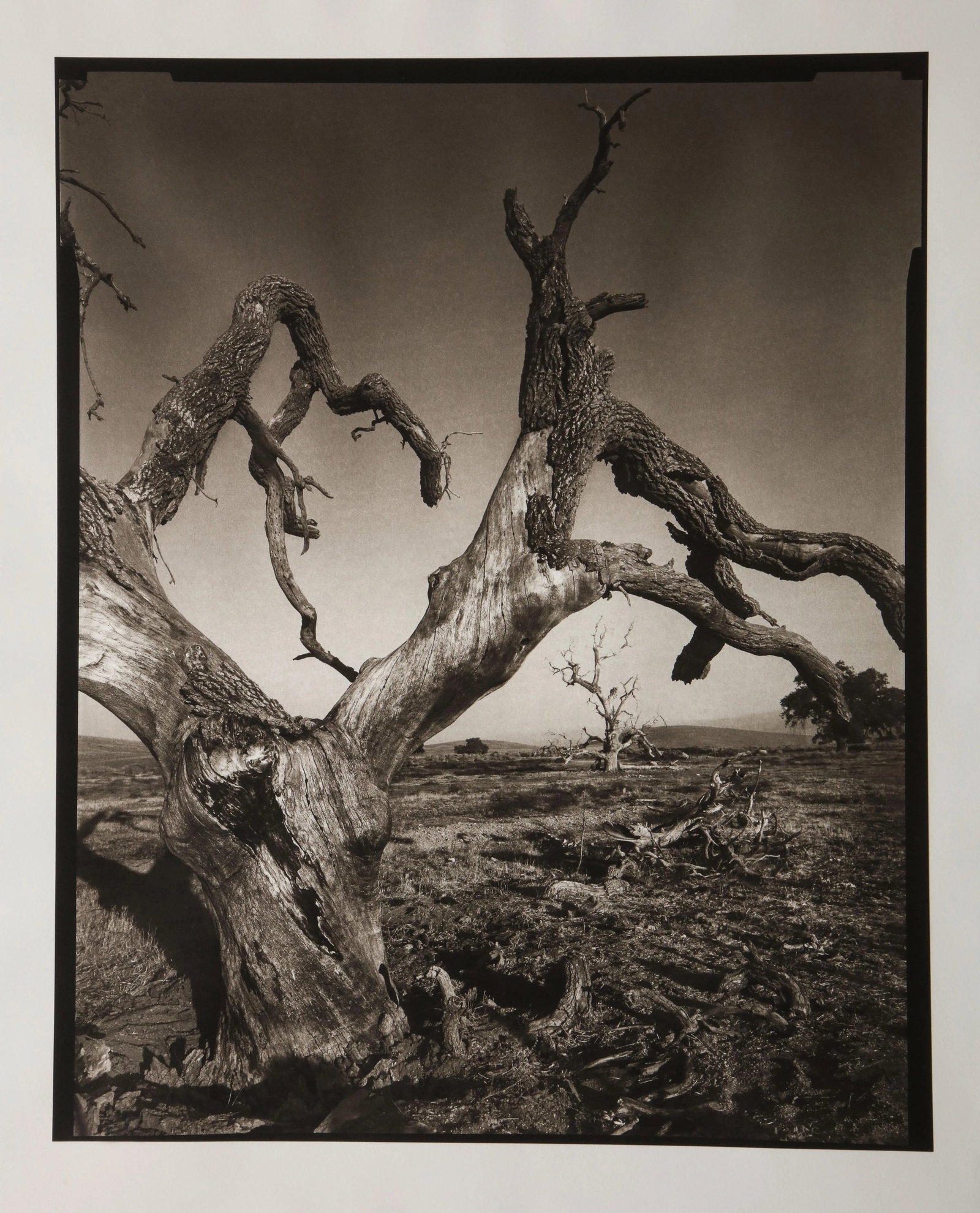 Tejon Ranch Photograph by Mark Seliger (b. 1959) - Signed - 2