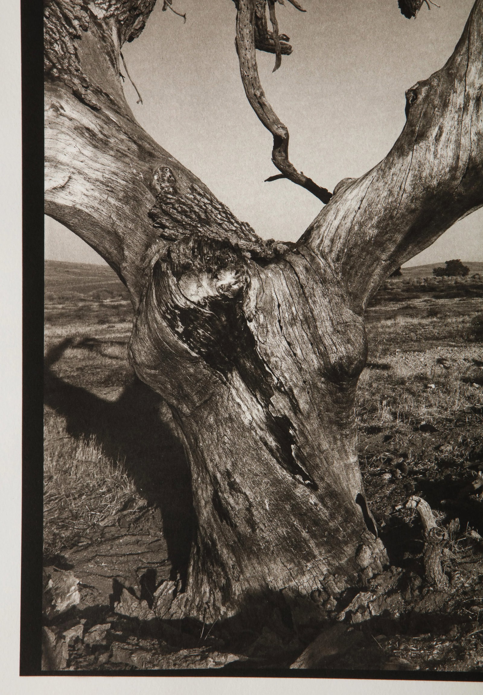 Tejon Ranch Photograph by Mark Seliger (b. 1959) - Signed - 3