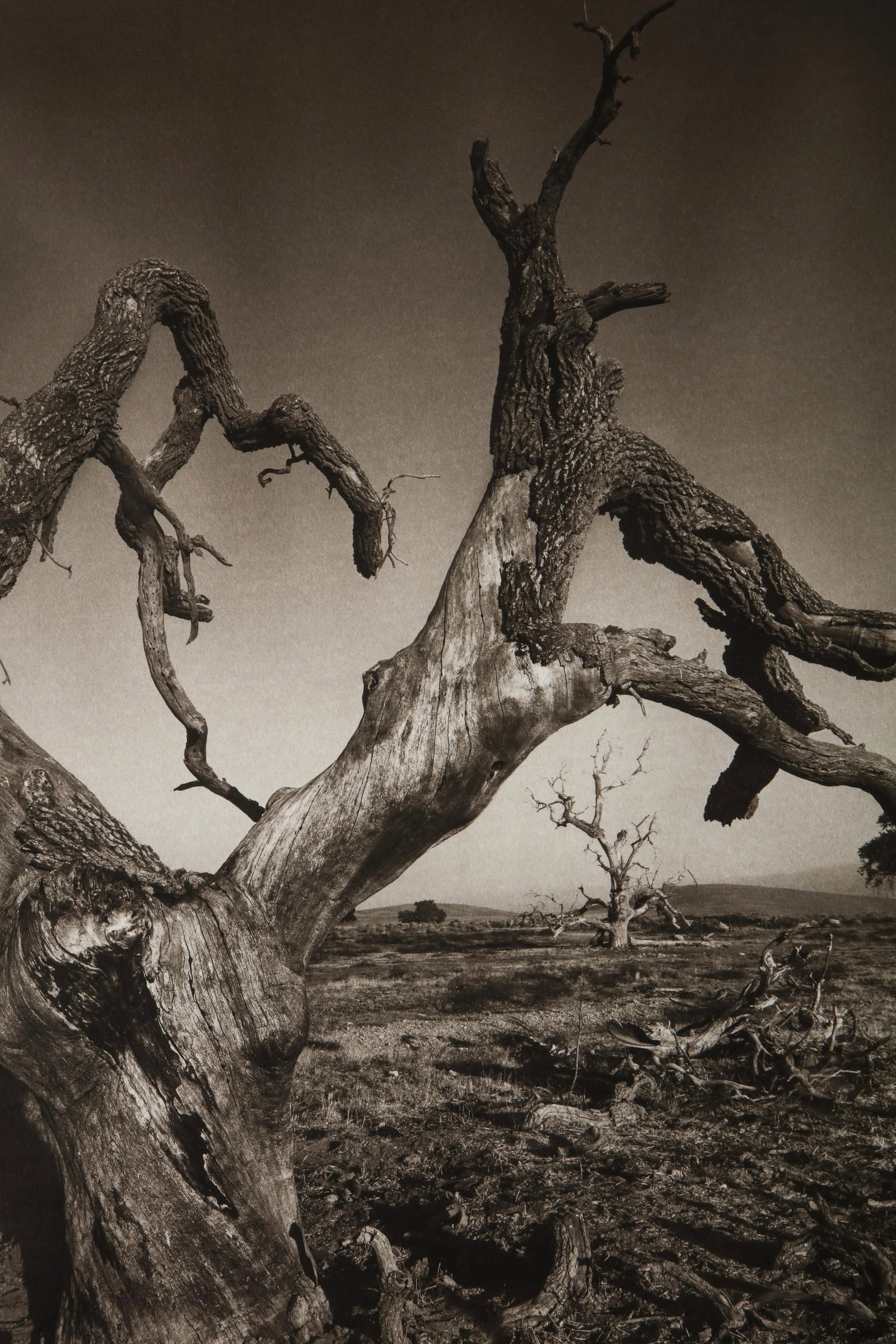 Tejon Ranch Photograph by Mark Seliger (b. 1959) - Signed - 4