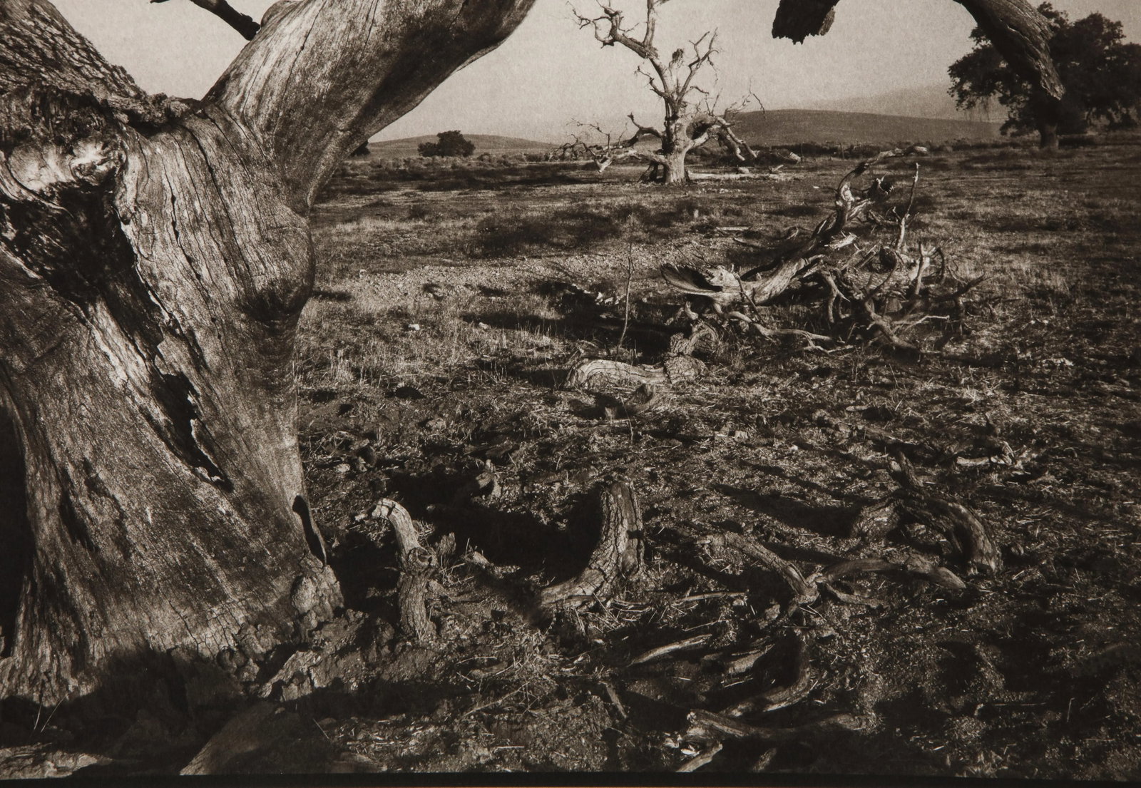 Tejon Ranch Photograph by Mark Seliger (b. 1959) - Signed - 6