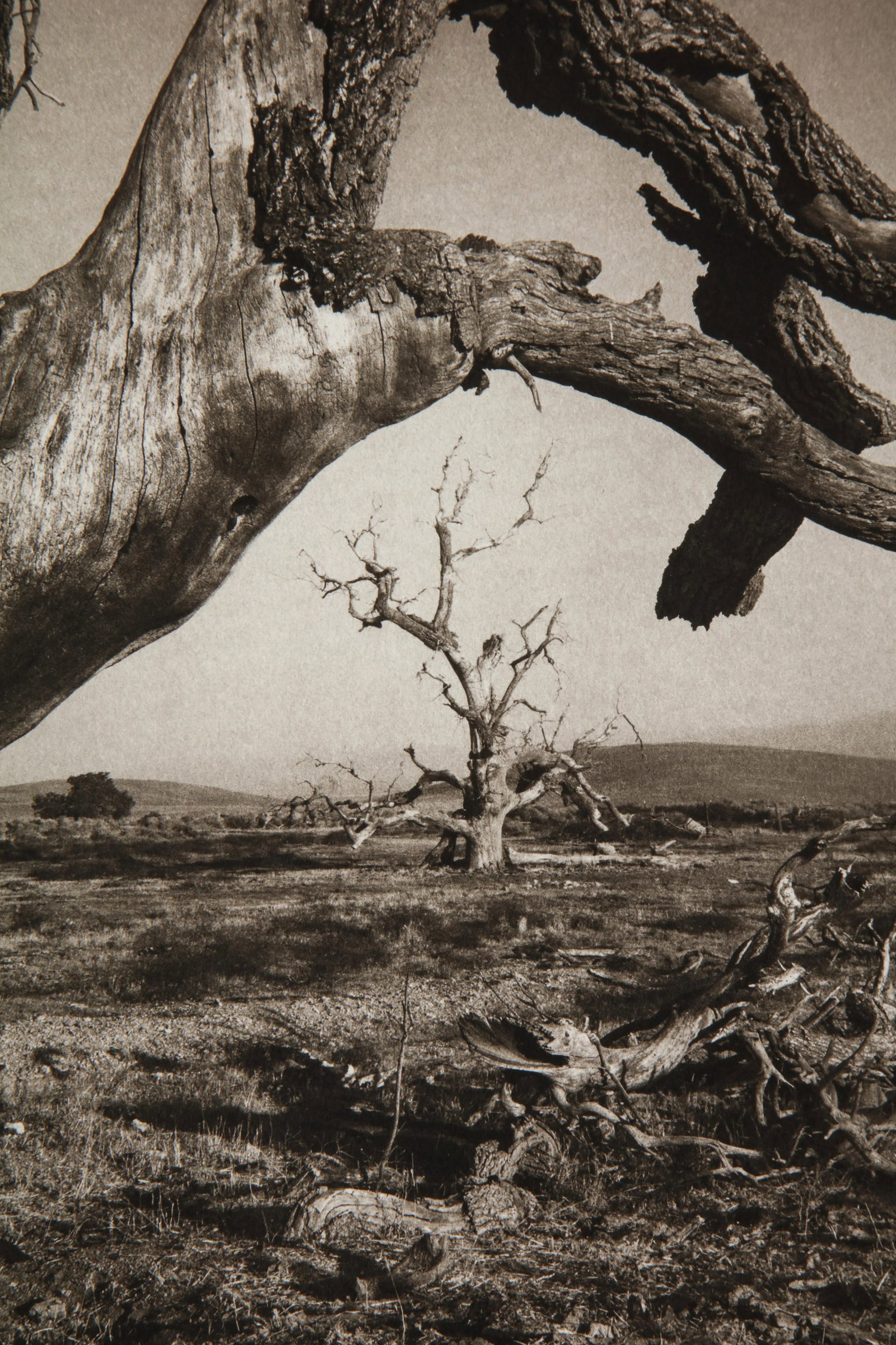 Tejon Ranch Photograph by Mark Seliger (b. 1959) - Signed - 8