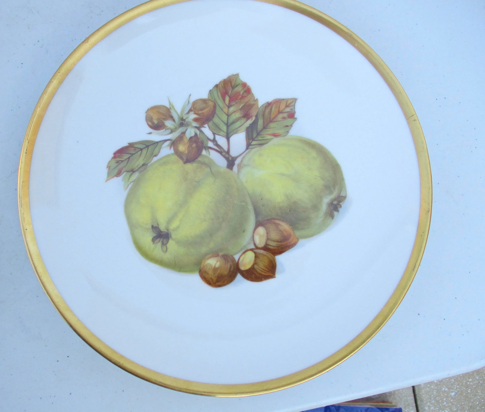 Vintage Bavarian Fruit Plates - Set of 6 - 7