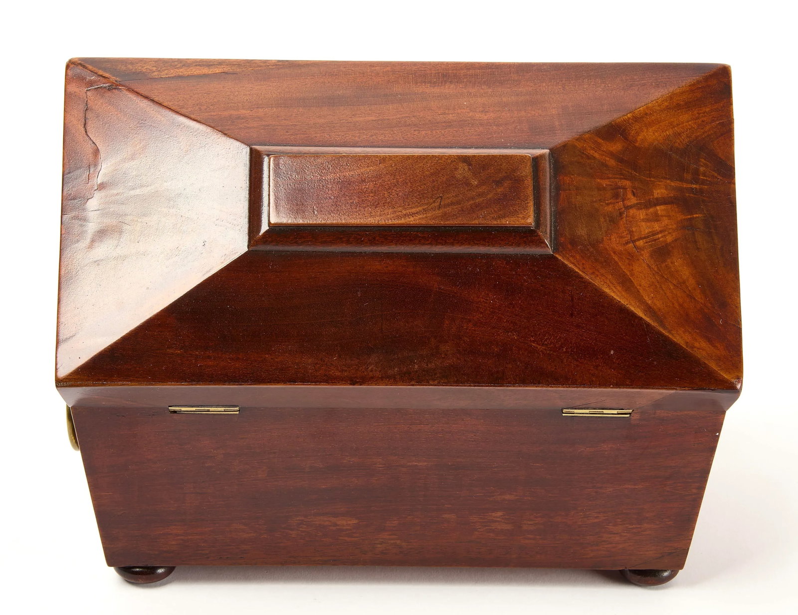 English Regency Sarcophagus-Form Tea Caddy - 5