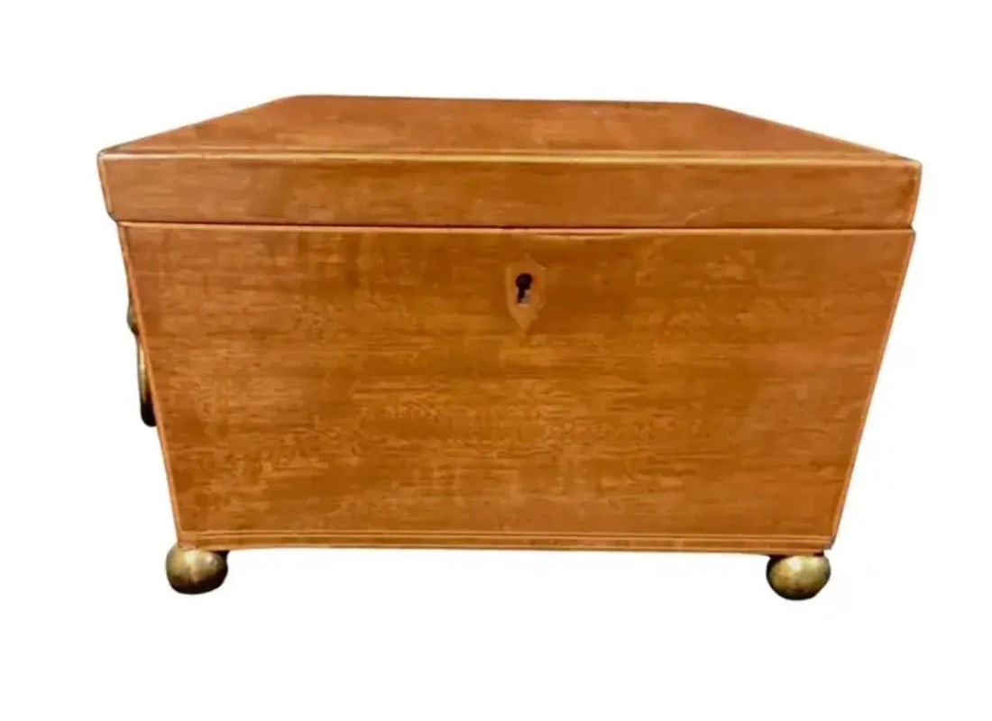 English Regency Sarcophagus Shaped Tea Caddy - 3