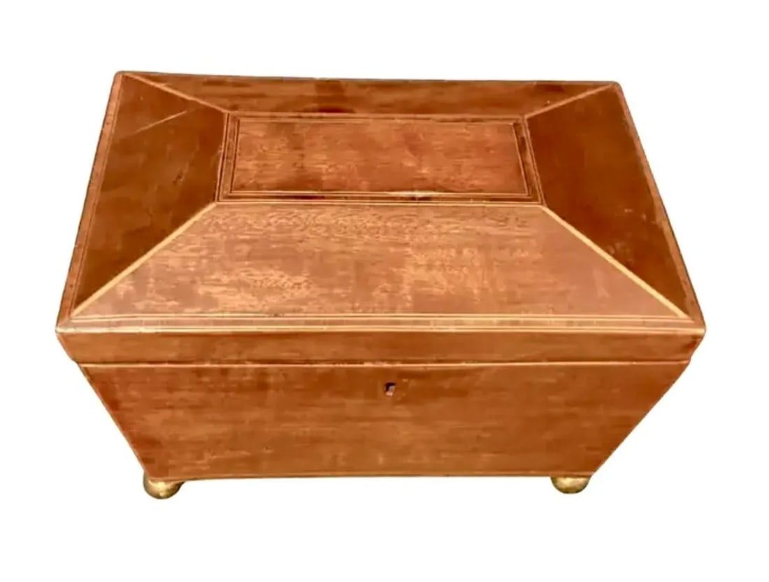 English Regency Sarcophagus Shaped Tea Caddy - 4