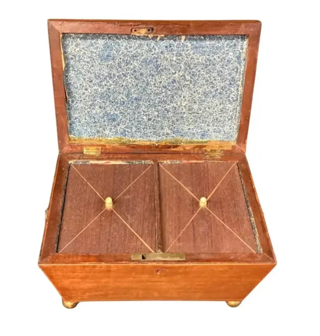 English Regency Sarcophagus Shaped Tea Caddy - 6