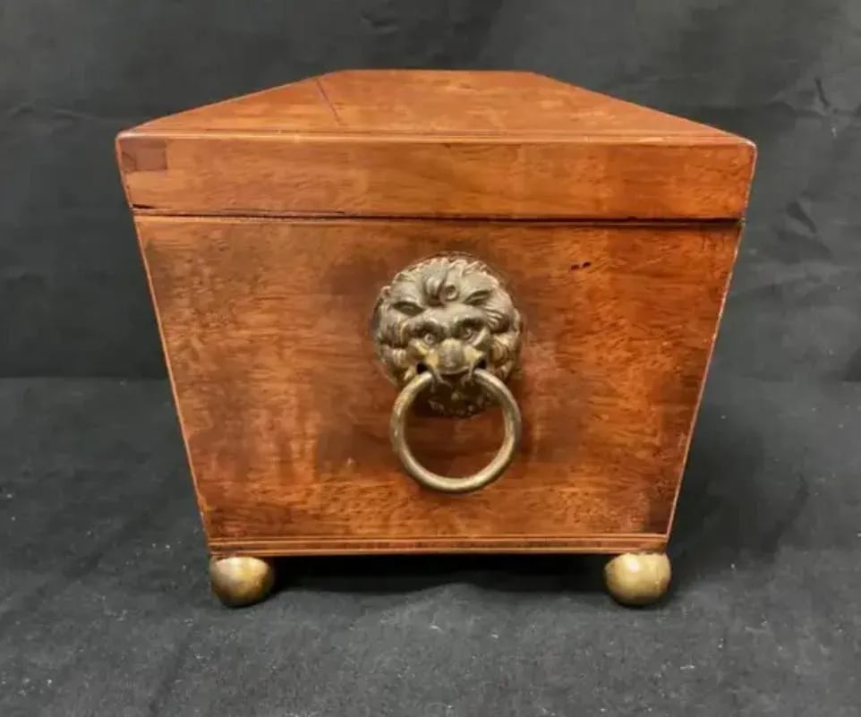English Regency Sarcophagus Shaped Tea Caddy - 7