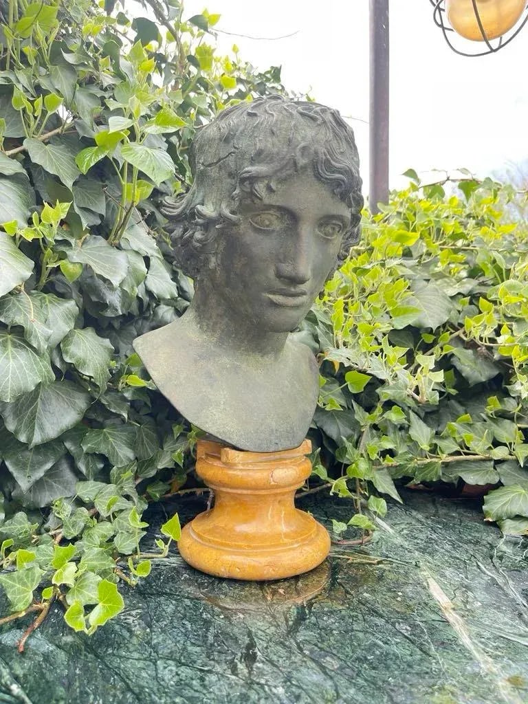 Grand Tour Bronze and Marble Bust of a Youth - 2