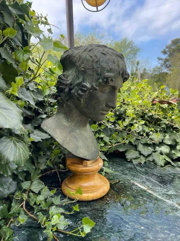 Grand Tour Bronze and Marble Bust of a Youth - 3