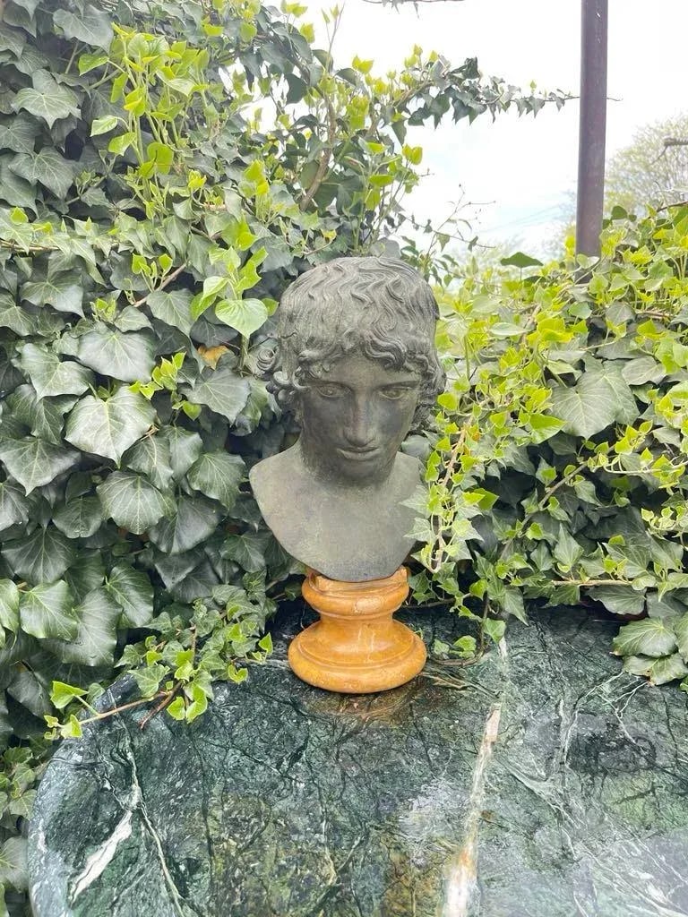 Grand Tour Bronze and Marble Bust of a Youth - 4