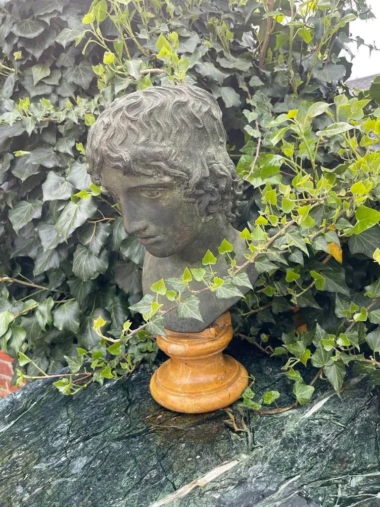 Grand Tour Bronze and Marble Bust of a Youth - 5