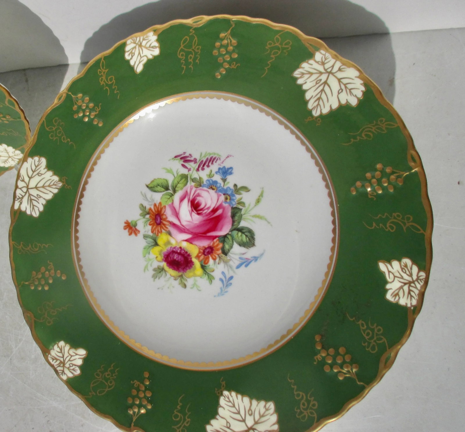 Royal Crown Derby Vine Dinner Plate Service - Set of 12 - 3