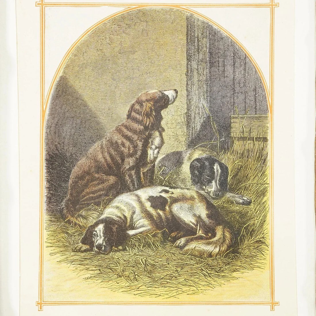 Antique Lithography Print With Sporting Dogs 19th Century - 2