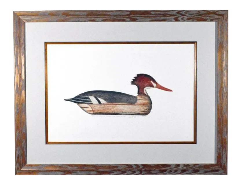 Arthur Nevin Red-Breasted Merganser Duck Decoy Print (1 of 4)