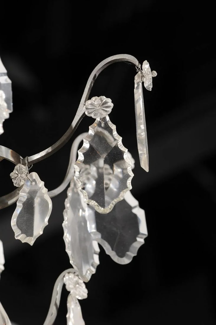 19th Century French Six-Light Crystal Chandelier with Silvered Iron Armature - 10
