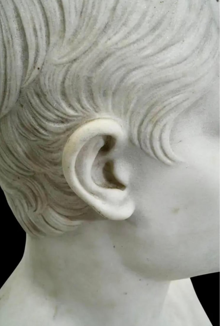 Italian Grand Tour Marble Bust of Augustus Caesar - 7