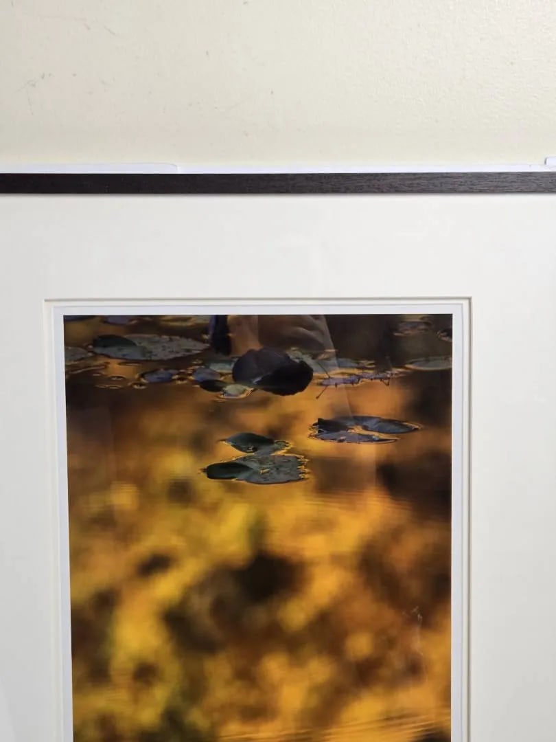 Late 20th Century Bill Pusztai Signed Limited Edition "Seattle Japanese Garden" Photograph & "Black - 8