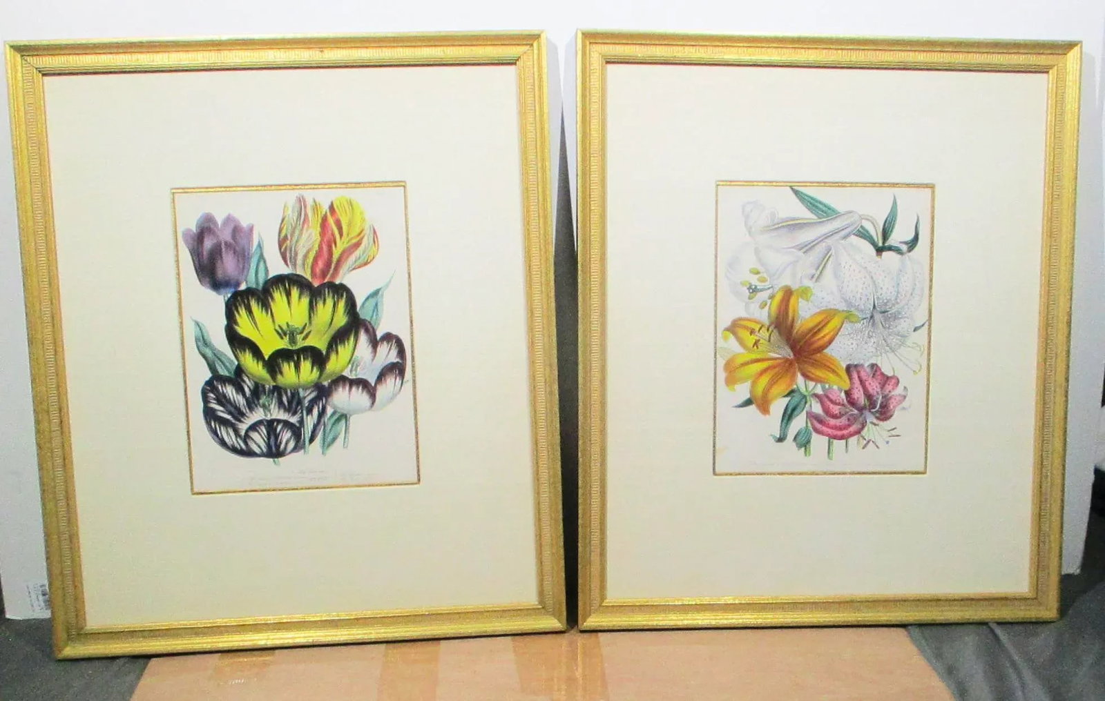 1841 English Botanical Hand-Colored Lithographs - Set of 2 - 10