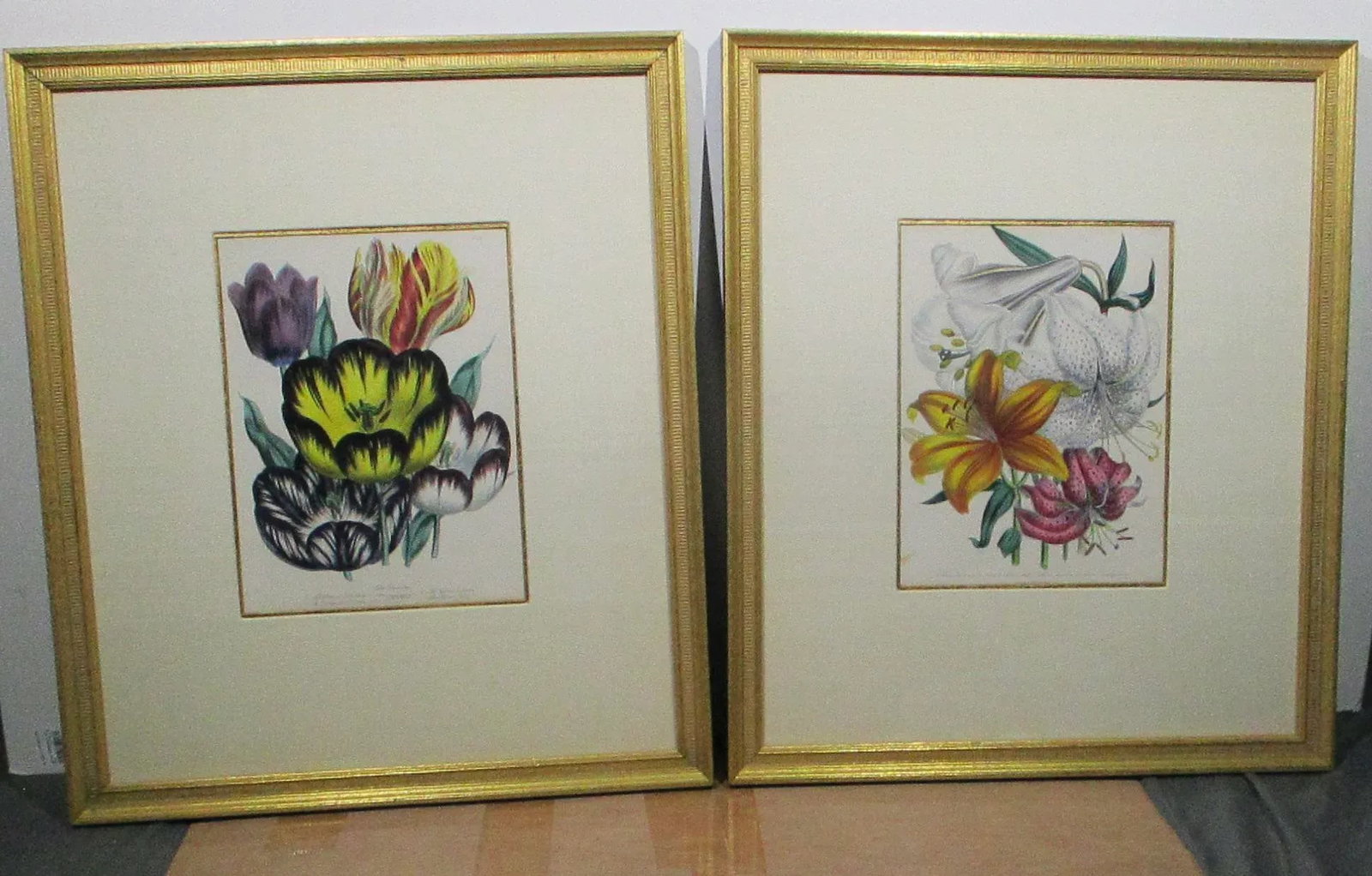 1841 English Botanical Hand-Colored Lithographs - Set of 2 - 2
