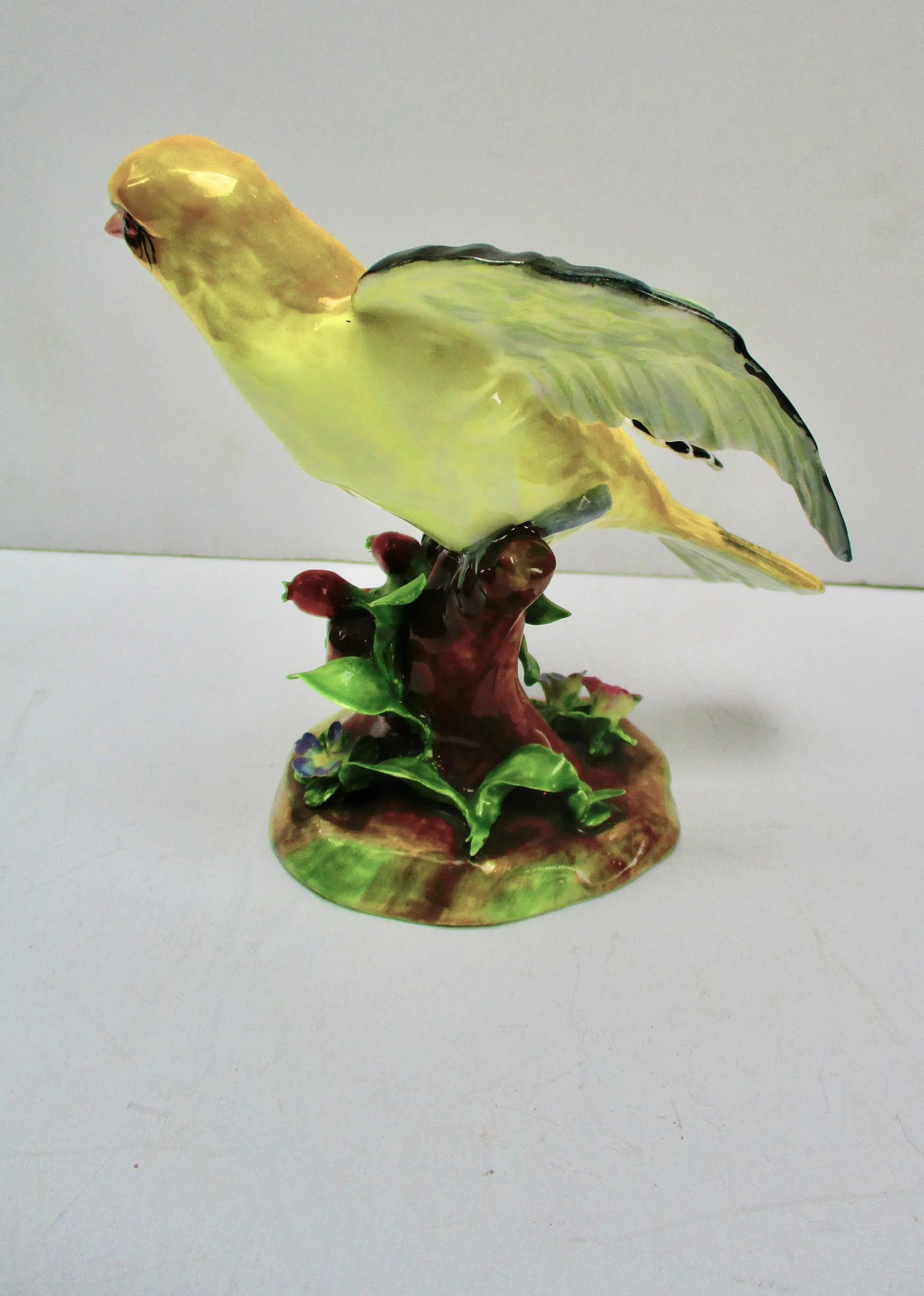 Crown Staffordshire Bird by J T Jones - 5