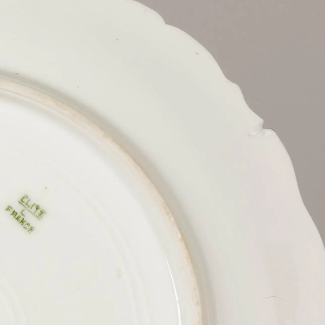 Limoges Fish Platter Set With 12 Plates - 5