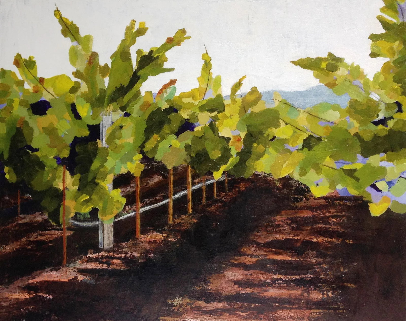 Early Harvest Impressionist Napa Valley California Wine Country Vineyard Landscape in Rust, Green (1 of 3)