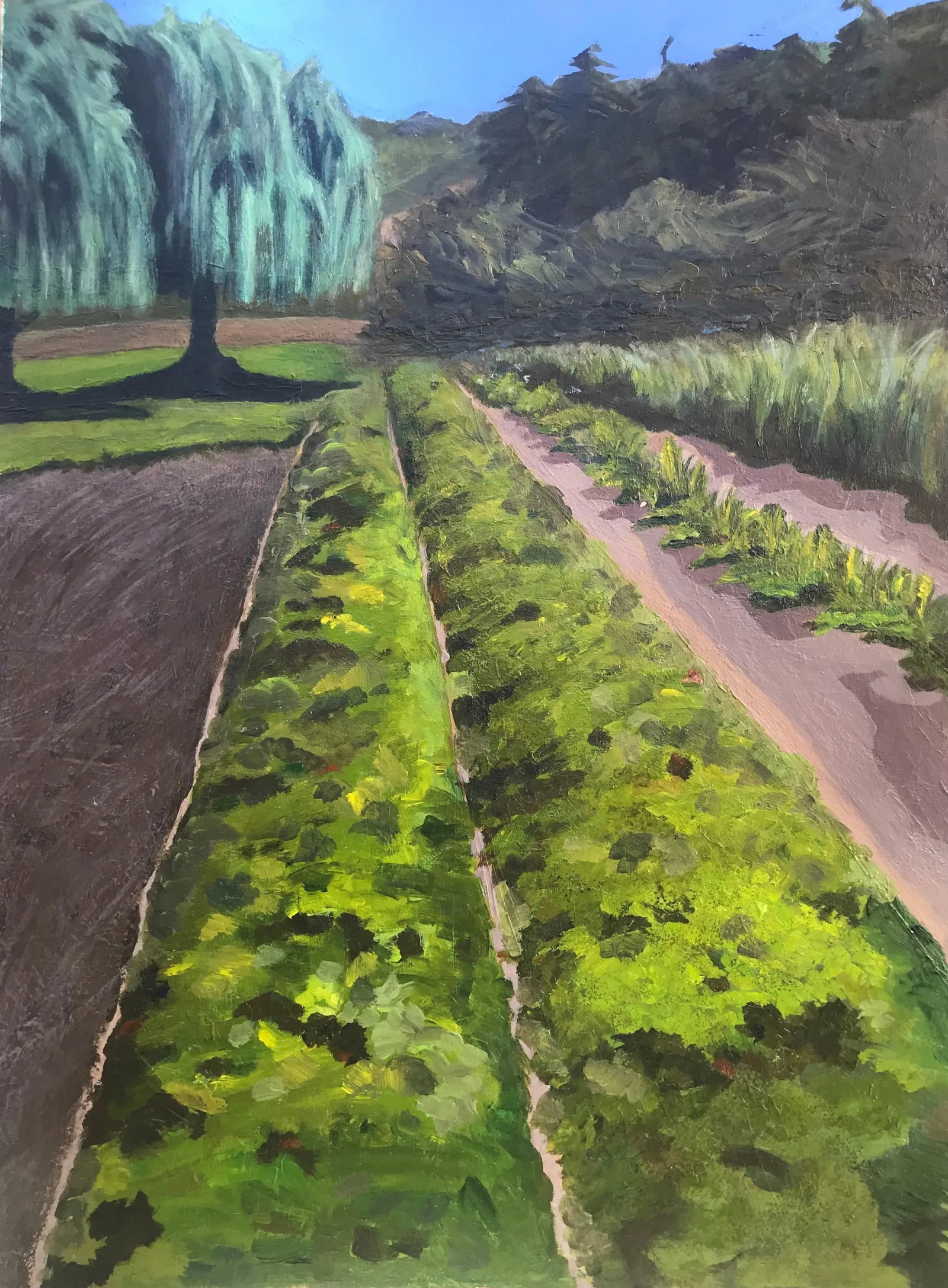 Before the Harvest Contemporary Impressionist California Farm Landscape in Green, Brown by Mill Va: Before the Harvest Contemporary Impressionist California Farm Landscape in Green, brown by Mill Valley artist Mary Anne McKernie At a riverside farm east of Willits, I was inspired by stately willow