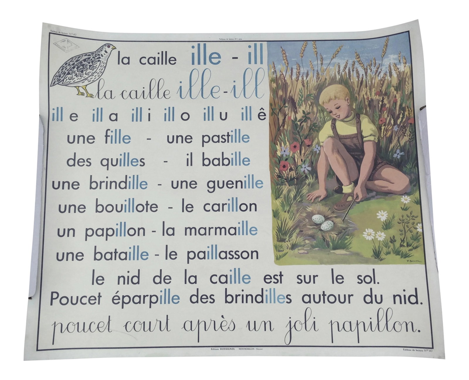 French School Poster: 1950's French school lesson poster of children exploring gardens wonders of birds. Poster is double sided for two different lessons. I have tried to make the colors as true as possible. Basically, the