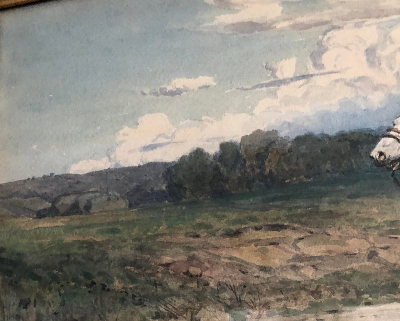 Original Watercolor Painting by Enrico Henri Coleman (1846-1911) - 4