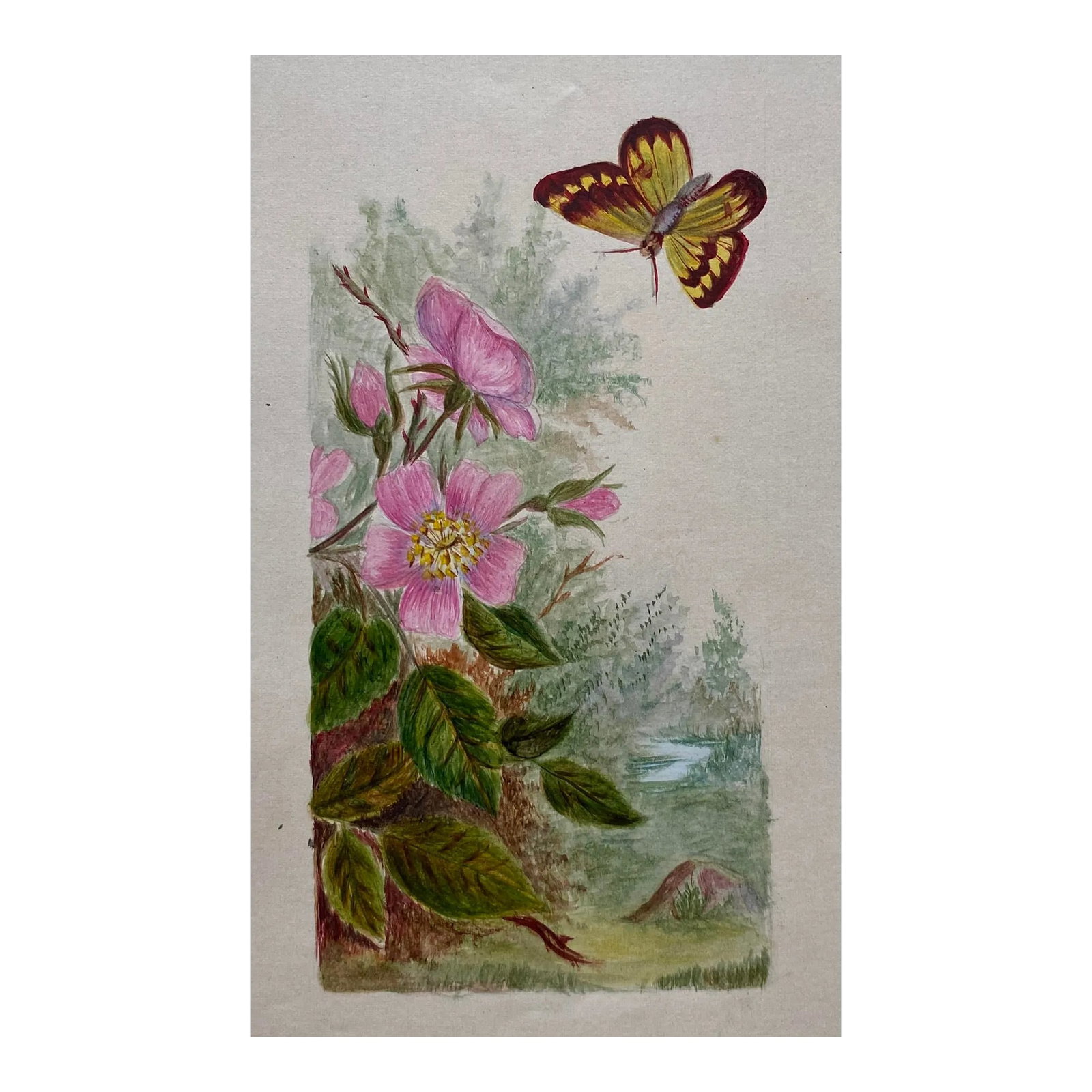 Antique Floral Landscape With Butterfly: 19th century antique botanical watercolor of a butterfly or moth in a floral landscape. Unsigned, Condition: Alterations: Original Condition Unaltered Imperfections: Some Imperfections Condition