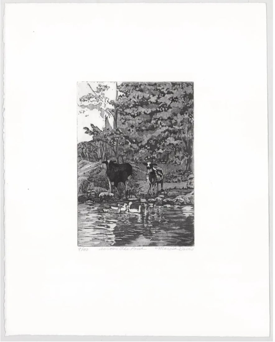 Marcia Davis Across the Pond Etching and Aquatint - 2