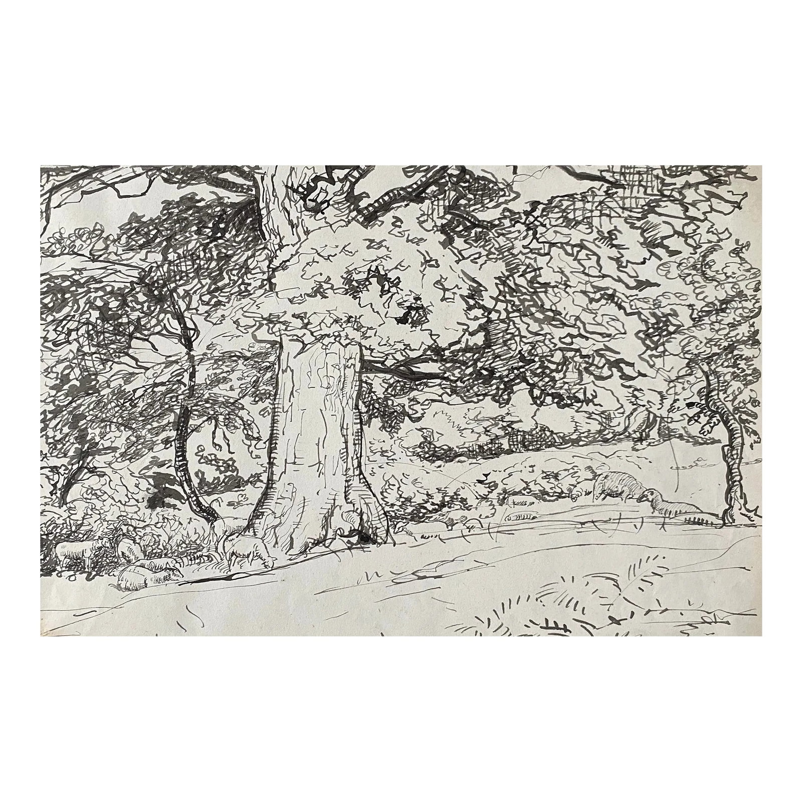 Harold Hope Read Sheep in Landscape English Drawing: Drawing by English artist Harold Hope Read (1881-1959). Read's "High Life" series satirically illustrated the lives of the upper class in Great Britain. Read regularly submitted works to the Royal Aca