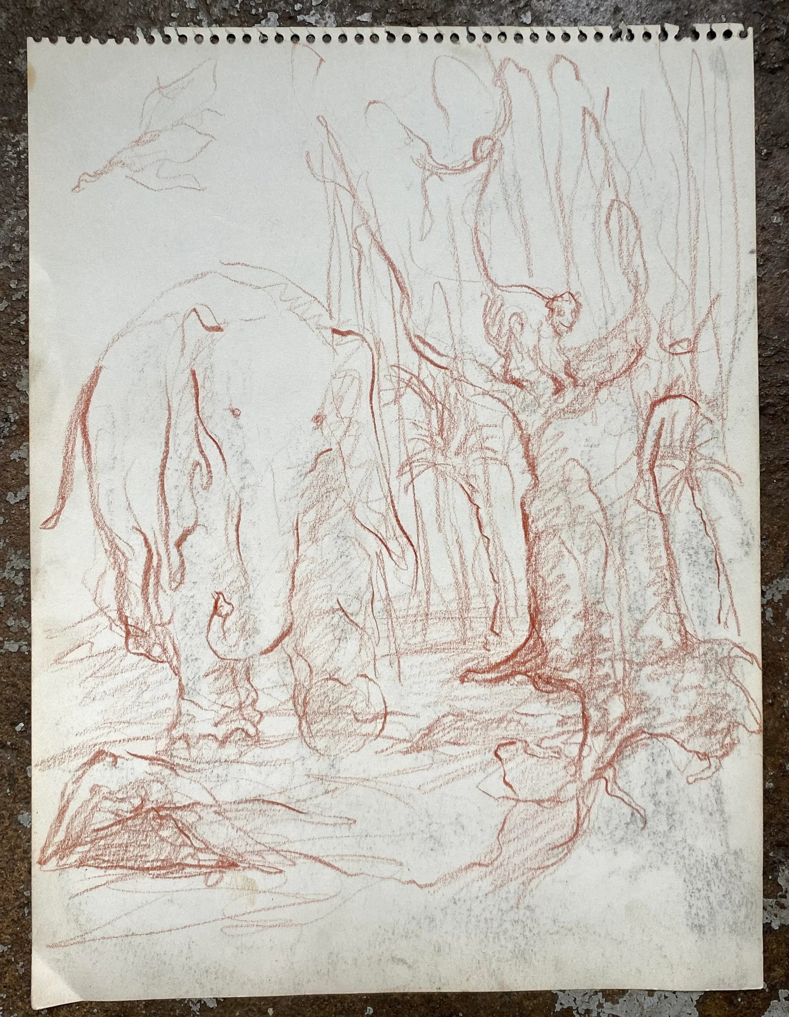 Alexandra Merker Autumn Pastel Drawing - 2