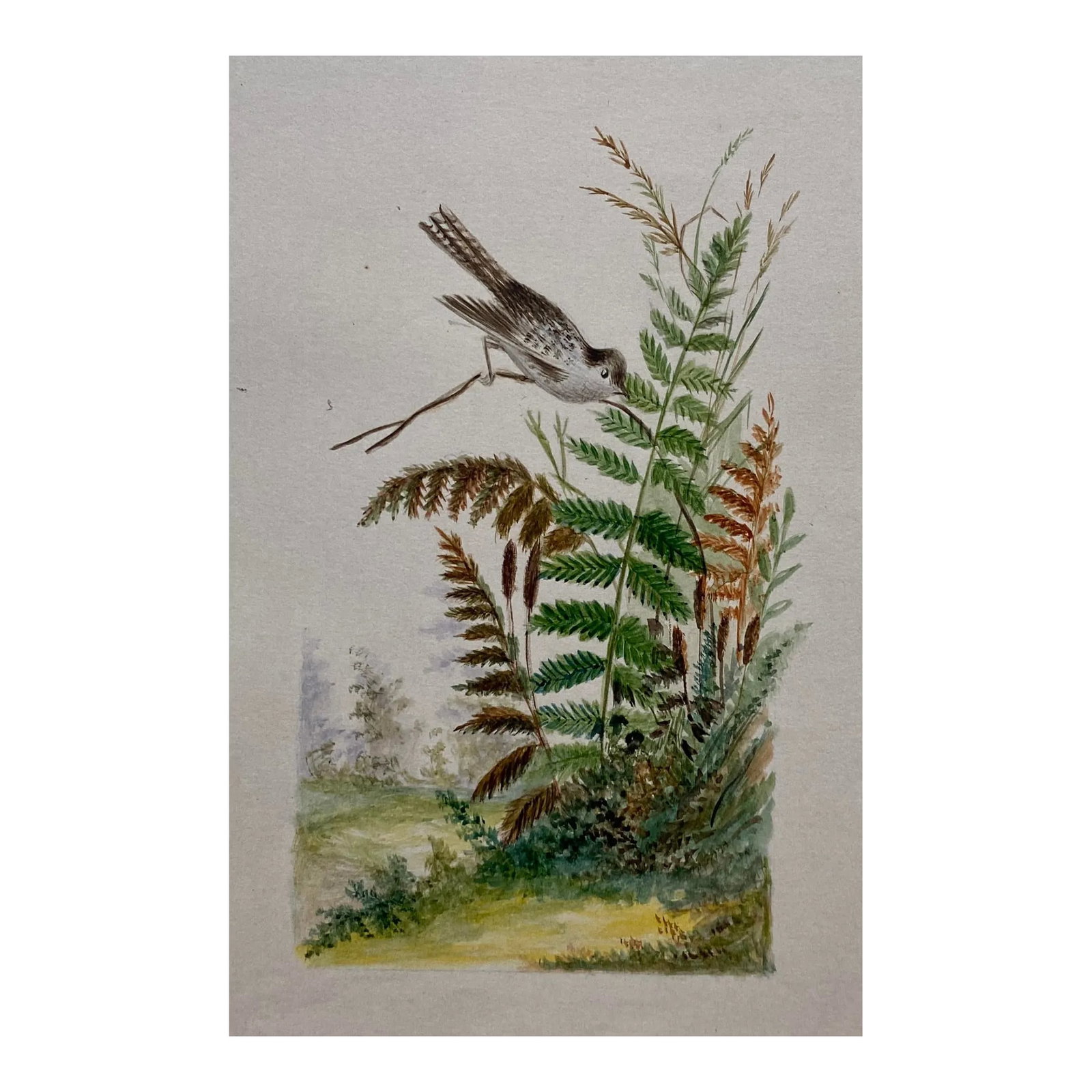 Antique 19th Century Botanical Watercolor With Bird: Antique 19th century ornithological watercolor of a fern and landscape with bird. Unsigned. Condition: Alterations: Original Condition Unaltered Imperfections: Some Imperfections Condition Notes: