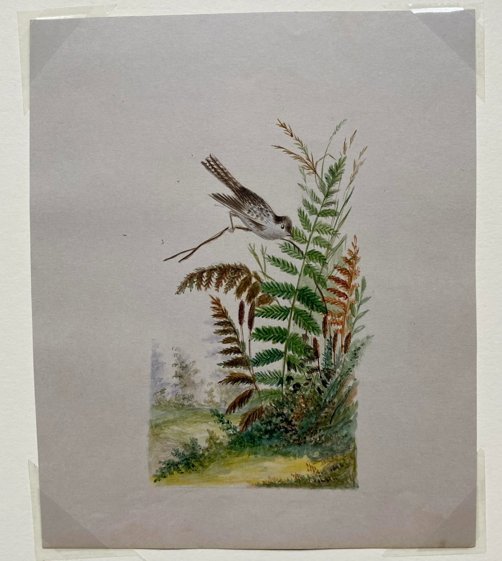 Antique 19th Century Botanical Watercolor With Bird - 2