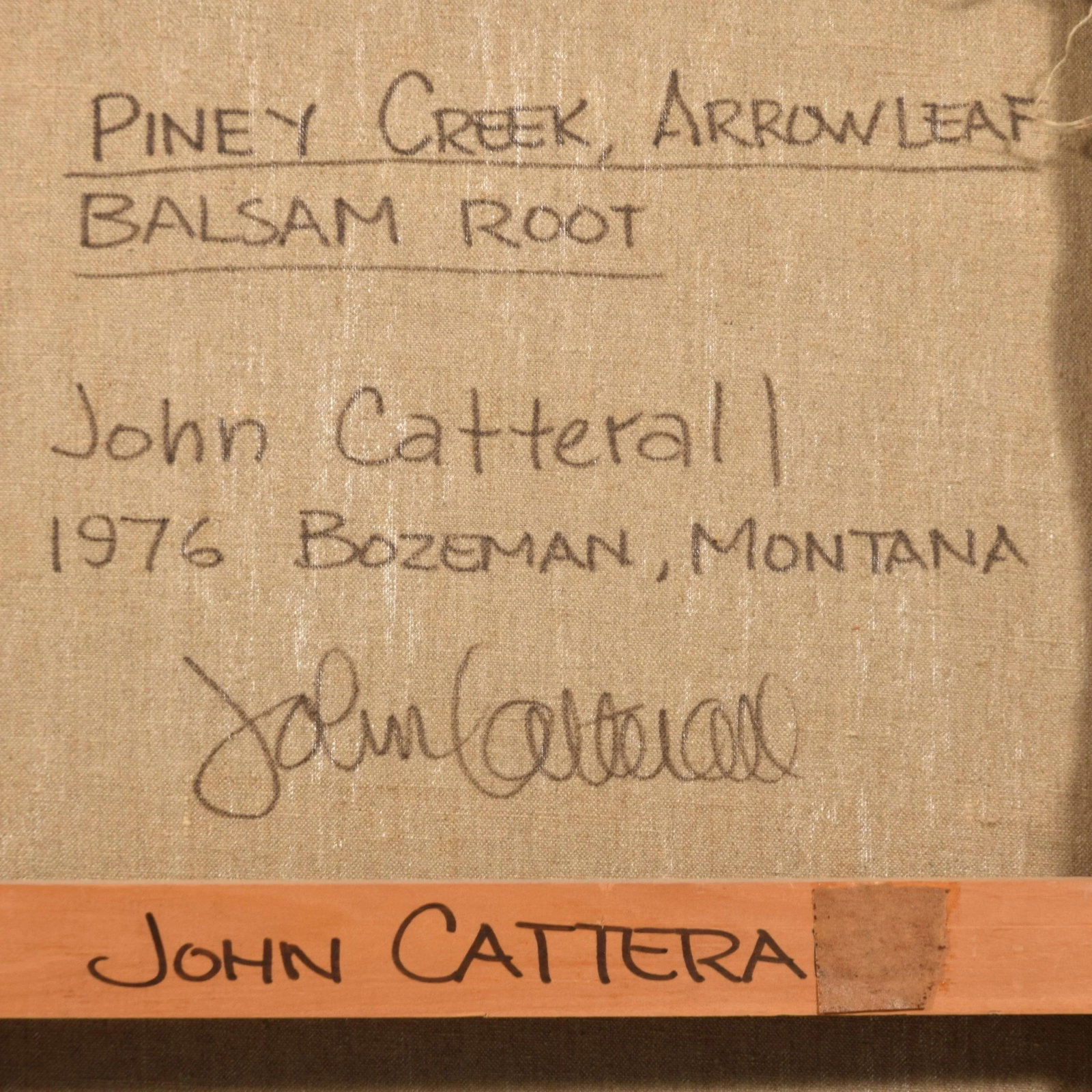 1970s Large 55" Original Signed John Catterall Painting "Piney Creek, Arrowleaf, Balsamroot" Montana - 8